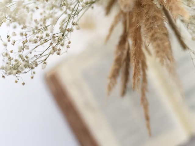 Trou Idees se volgers deel hul Stories van Hoop